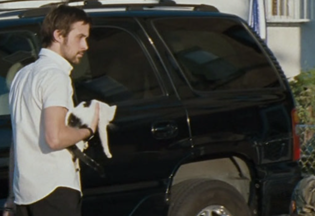 During the filming of Half Nelson, Ryan Gosling picks up a random cat that appeared out of nowhere which they decided to leave in the final product as Dan Dunne(Ryan's character in the film) had lost his cat just a few scenes before.